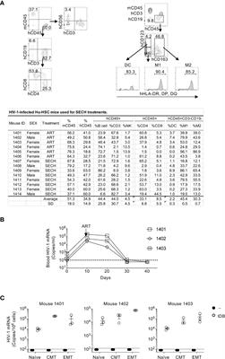 Targeting HIV-1 reservoirs in T cell subsets